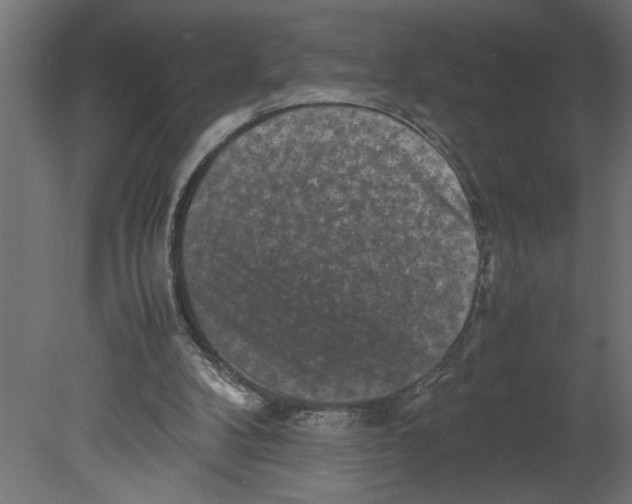 X0000080680104200701121709