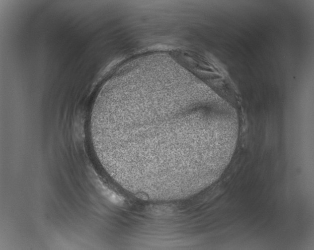 X0000080680106200701121709