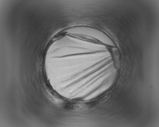 X0000080680107200701121709