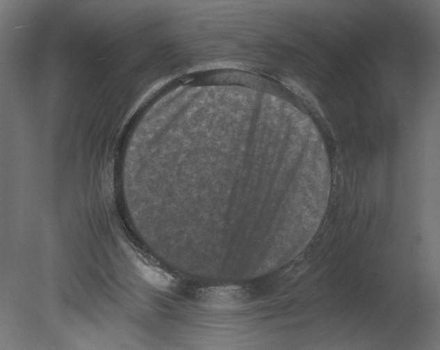 X0000080680108200701121709