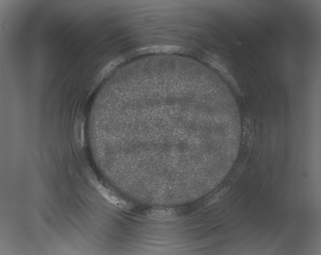 X0000080680110200701121709