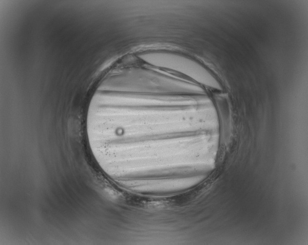 X0000080680111200701121709