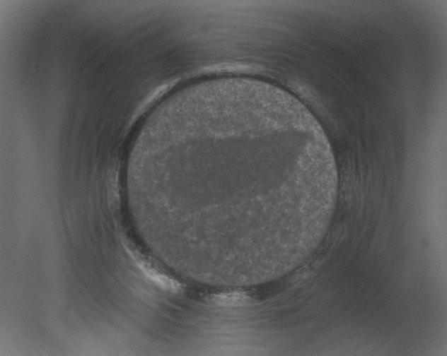 X0000080680112200701121709