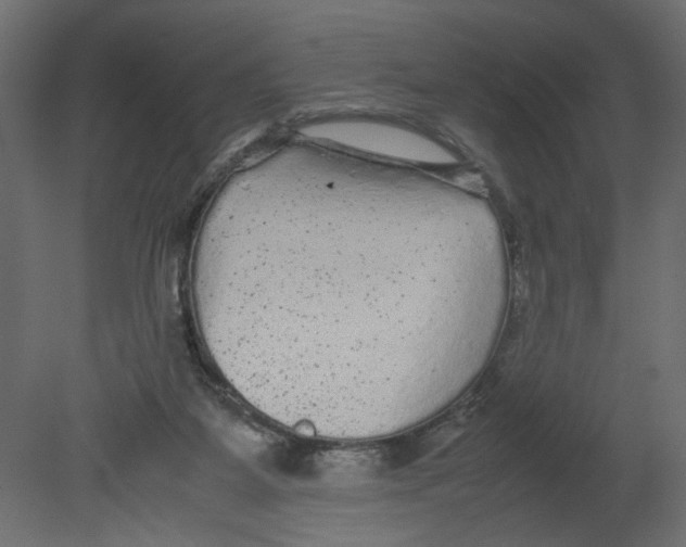 X0000080680115200701121709