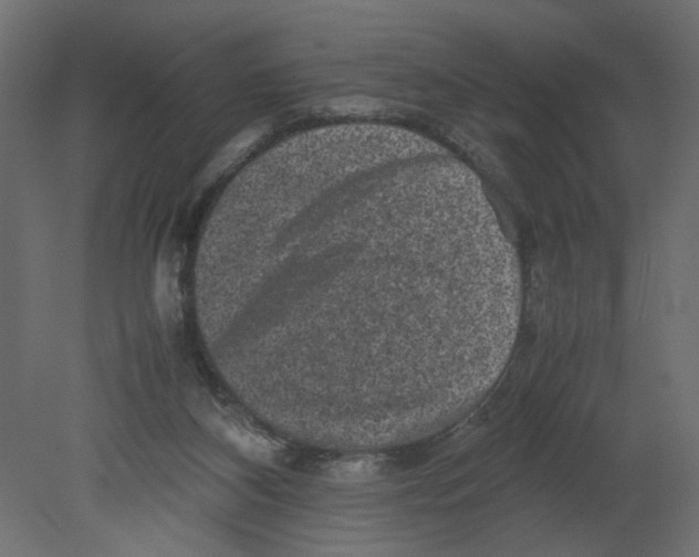 X0000080680116200701121709