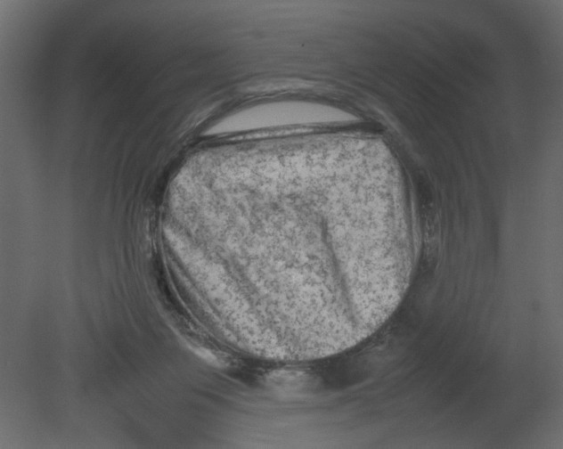 X0000080680119200701121709