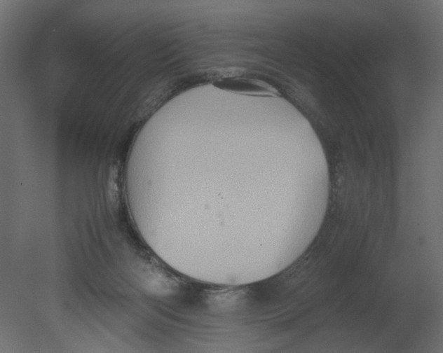 X0000080680122200701121709