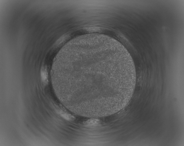 X0000080680124200701121709