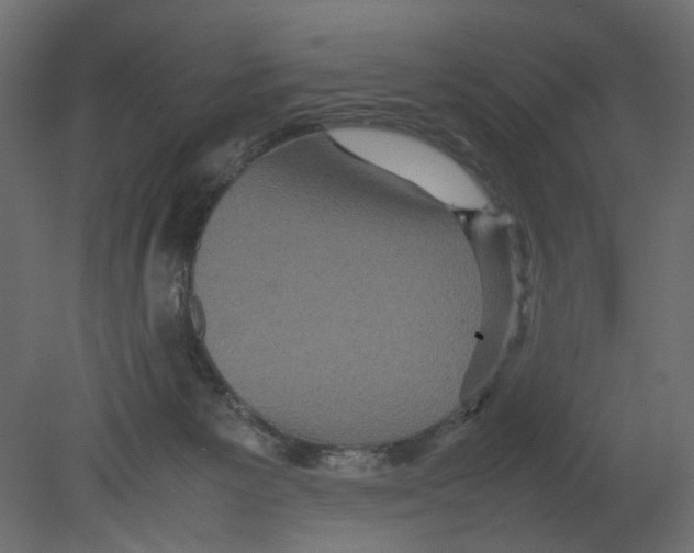 X0000080680125200701121709