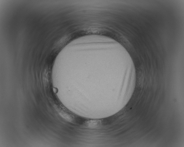 X0000080680126200701121709