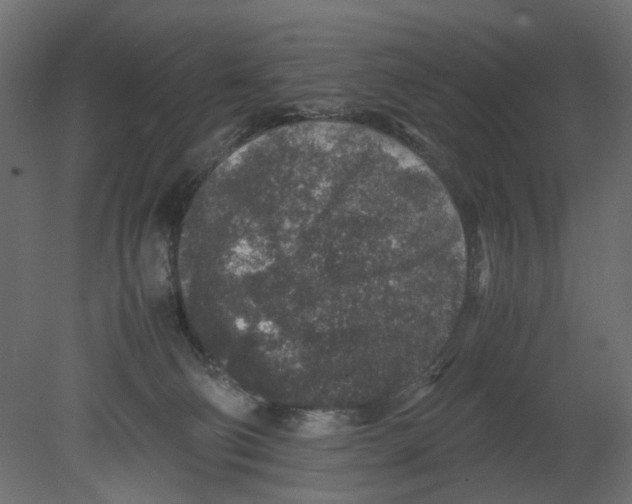 X0000080680130200701121709