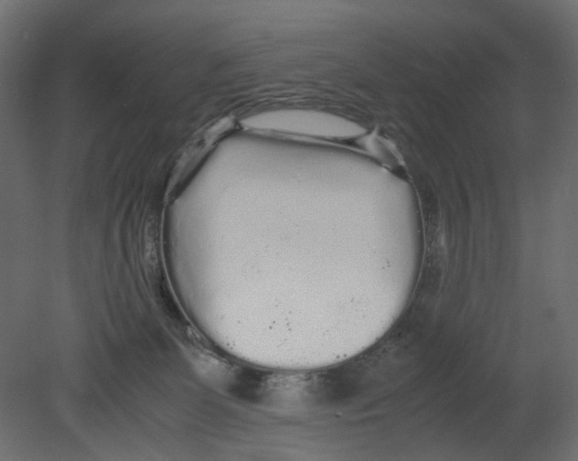 X0000080680131200701121709