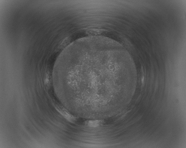 X0000080680134200701121709