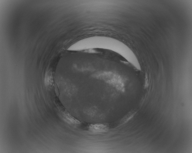 X0000080680137200701121709