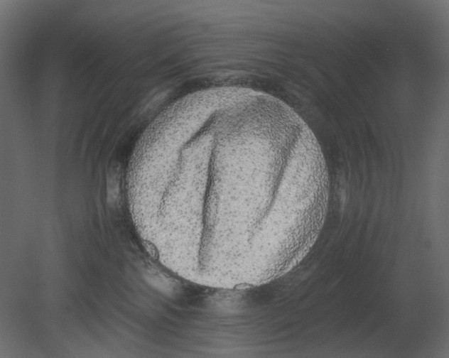 X0000080680138200701121709