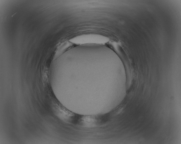 X0000080680141200701121708