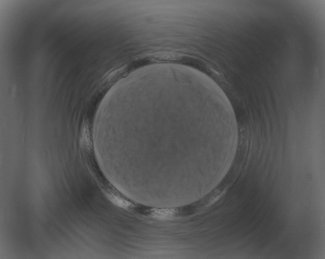 X0000080680143200701121708