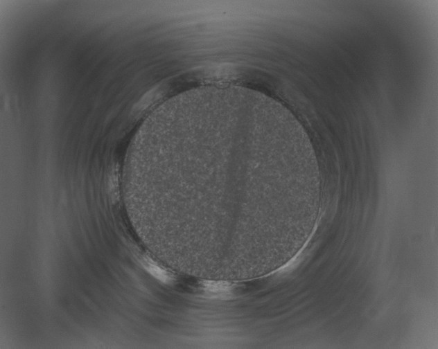 X0000080680144200701121708