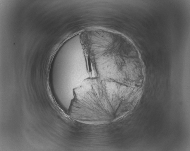 X0000080680145200701121708