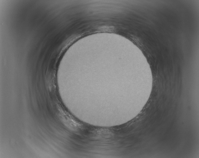 X0000080680146200701121708