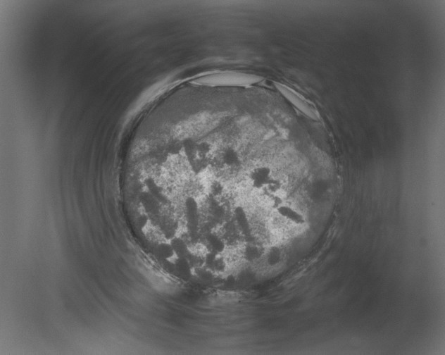 X0000080680149200701121708