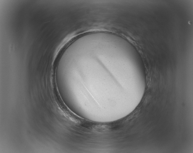 X0000080680152200701121708