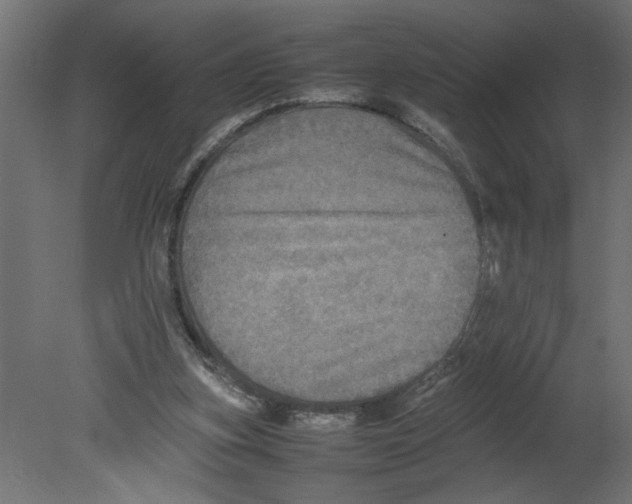 X0000080680155200701121708