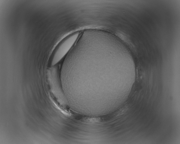 X0000080680156200701121708