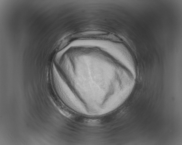 X0000080680157200701121708