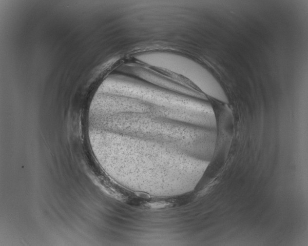 X0000080680158200701121708