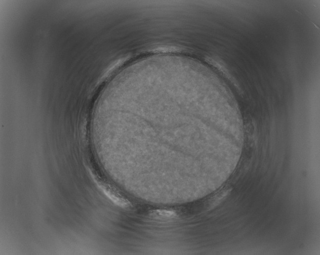 X0000080680159200701121708