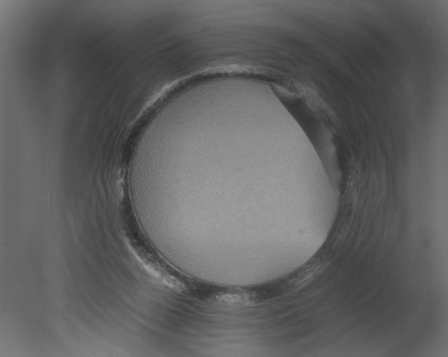 X0000080680160200701121708