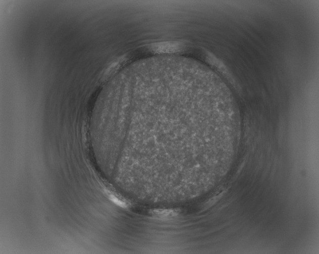 X0000080680161200701121708