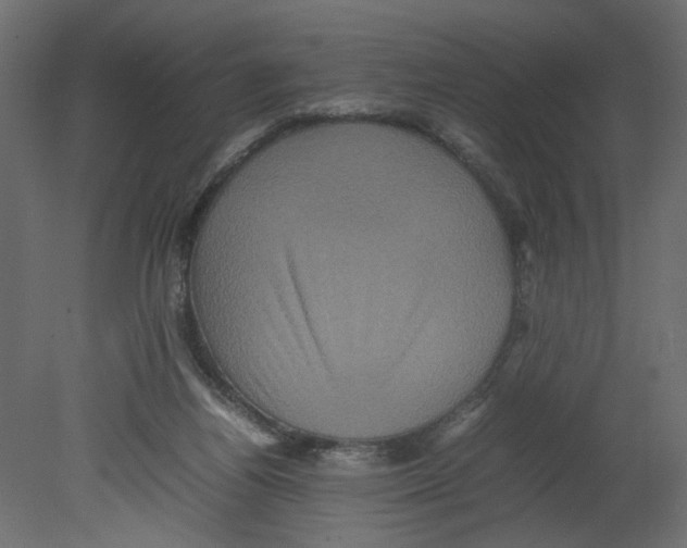 X0000080680164200701121708