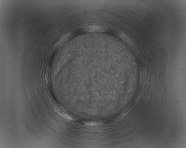 X0000080680165200701121708