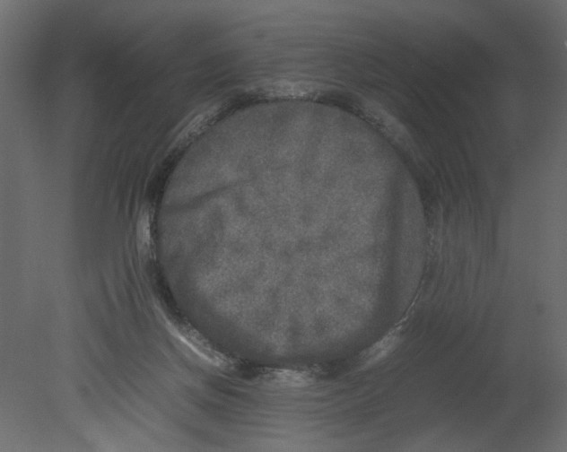 X0000080680166200701121708