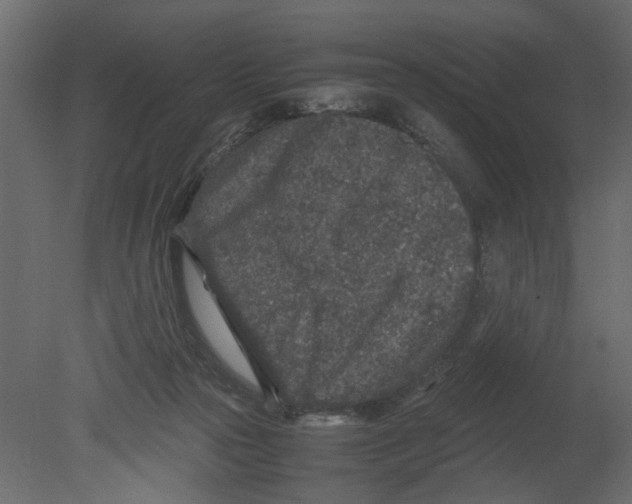 X0000080680169200701121708