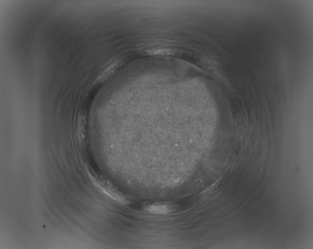 X0000080680171200701121708