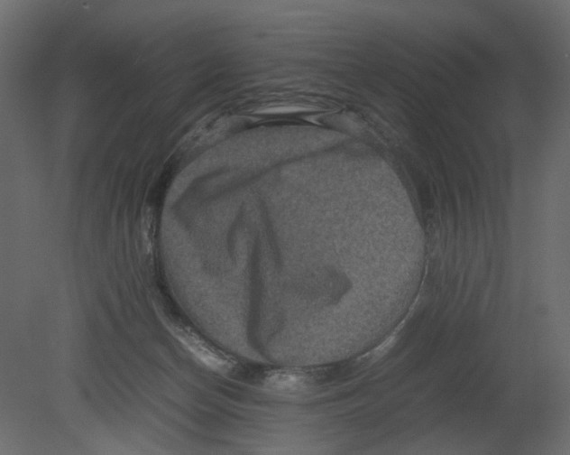 X0000080680174200701121708