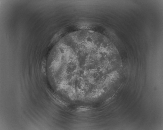 X0000080680175200701121708