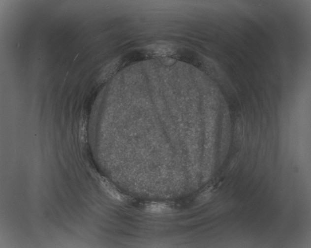 X0000080680177200701121708