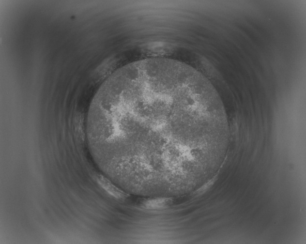 X0000080680178200701121708