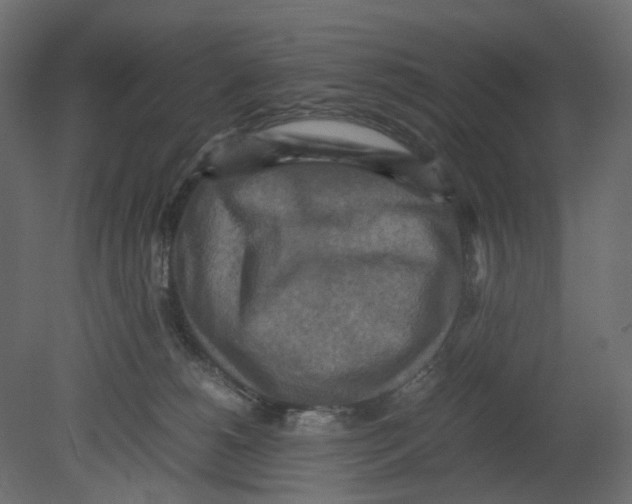 X0000080680180200701121708