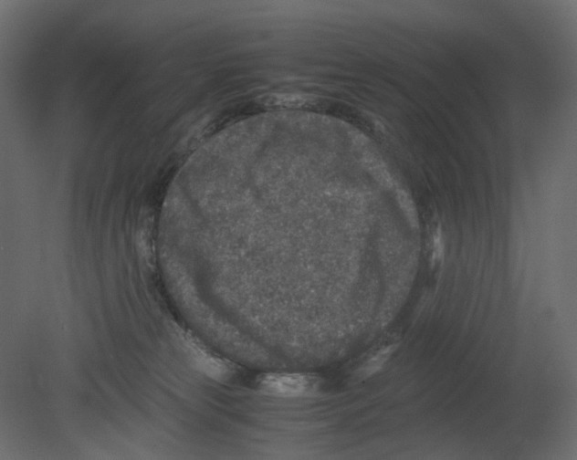 X0000080680181200701121708