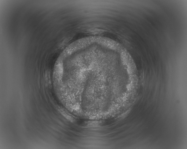 X0000080680182200701121708