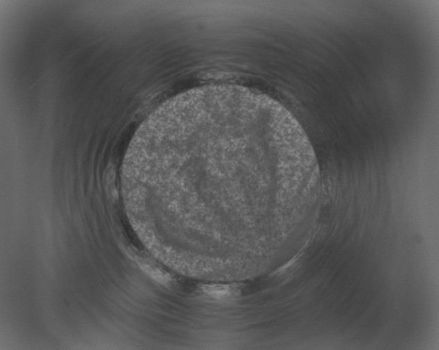 X0000080680187200701121708