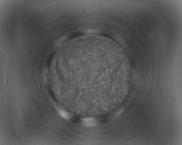 X0000080680189200701121708