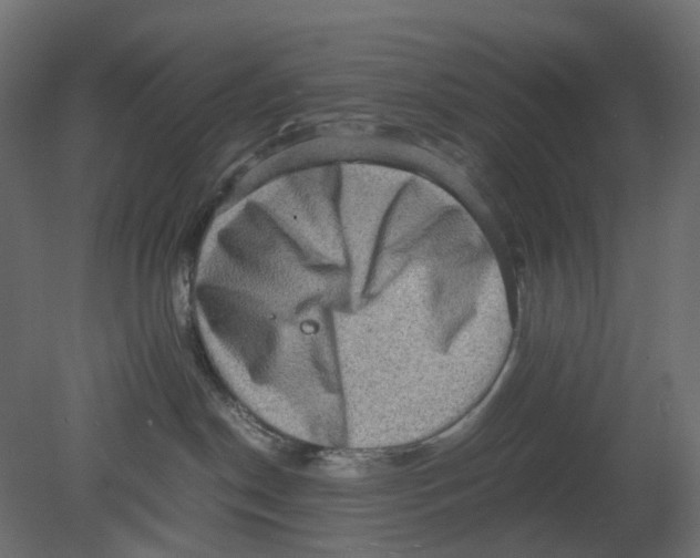 X0000080680190200701121708