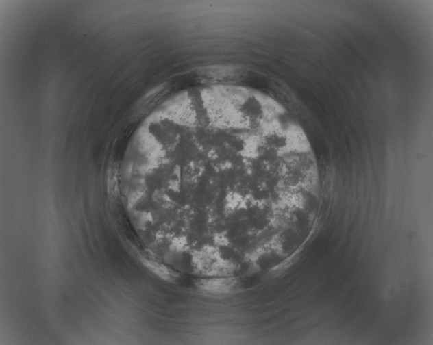 X0000080680191200701121708