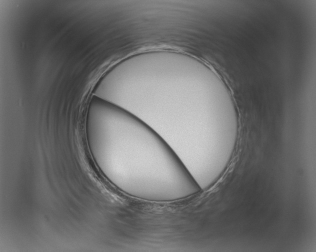 X0000080680193200701121708